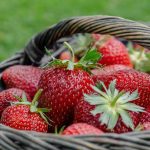 Comment composer un petit panier de fruits et légumes frais livré chaque semaine