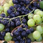 Daniel ravier, le chef d’orchestre discret du domaine de tempier